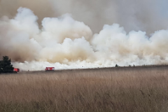 Feuer Colbitz Lertlinger Heide 27.06.18 (1)