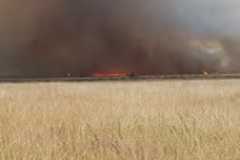 Feuer Colbitz Lertlinger Heide 27.06.18 (2)